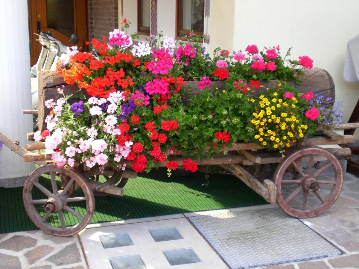 Park Hotel Arnica Falcade Bagian luar foto