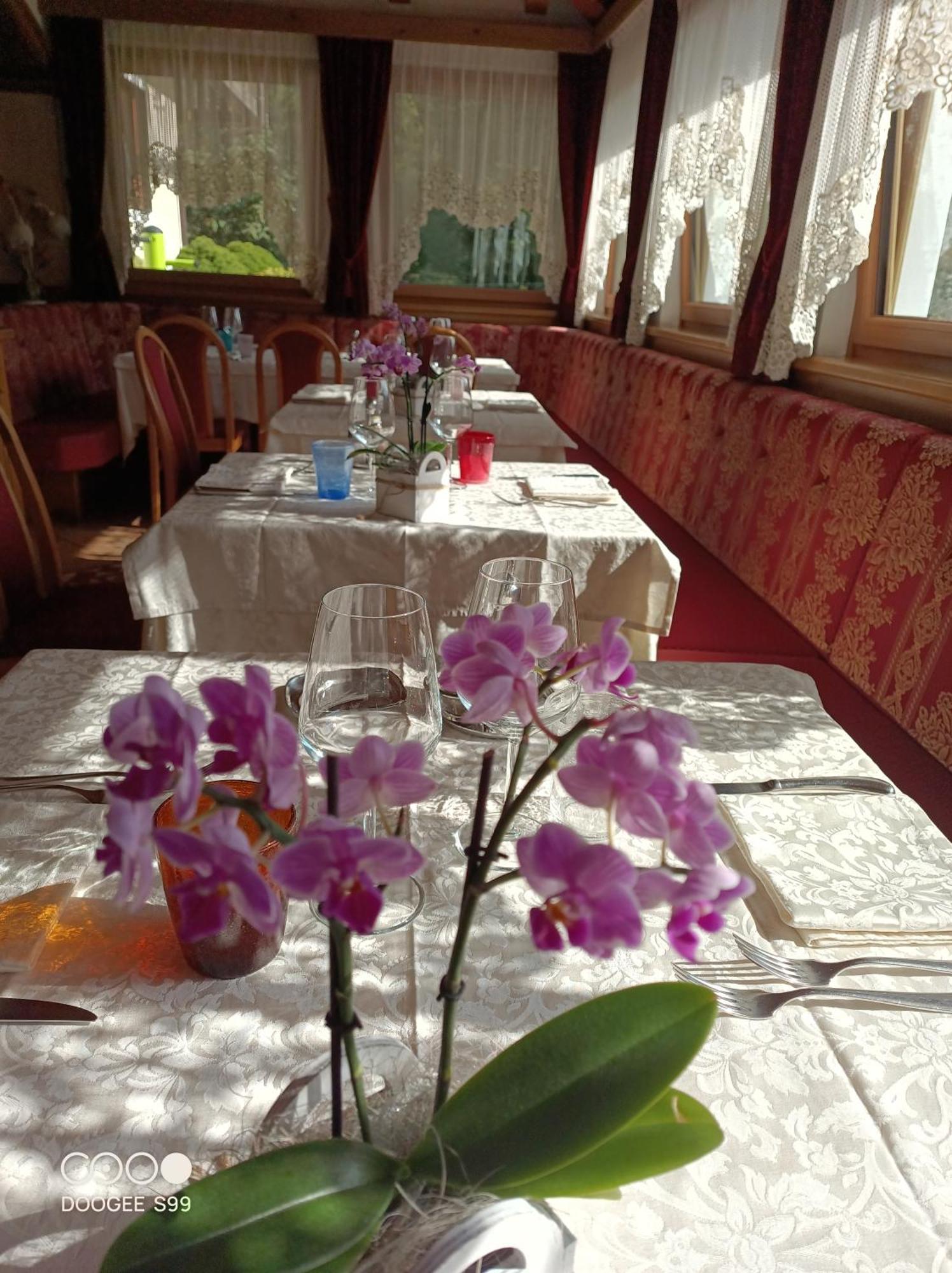 Park Hotel Arnica Falcade Bagian luar foto